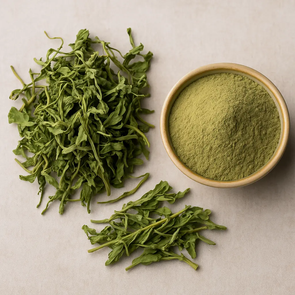 Brahmi Leaves (Bacopa monnieri)