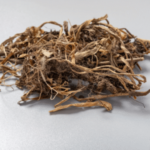 Jatamansi (Nardostachys jatamansi)