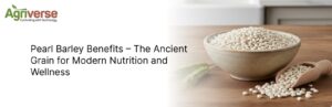 pearl barley