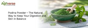 Podina powder
