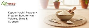 Kapoor Kachri powder