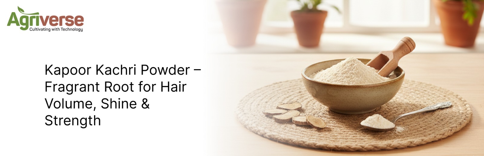Kapoor Kachri powder